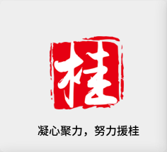 聚焦产业，努力援桂